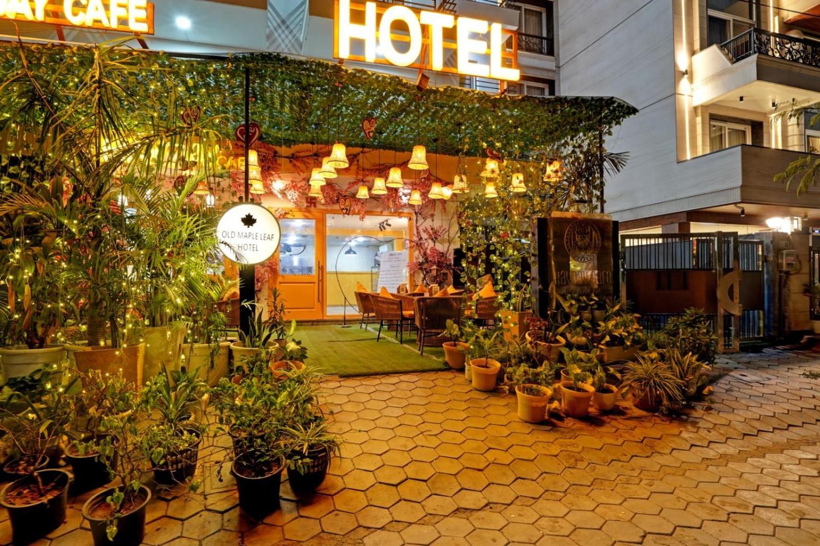 Ivy Plaza Near Delhi Airport Hotel
